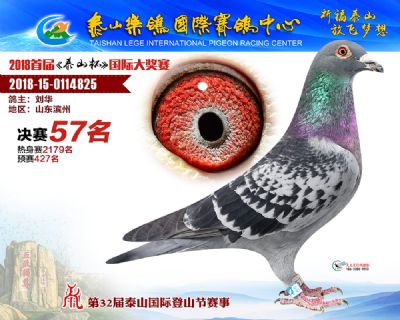泰山乐鸽决赛57名