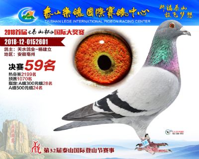 泰山乐鸽决赛59名