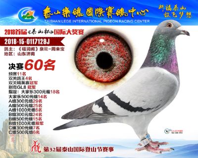 泰山乐鸽决赛60名