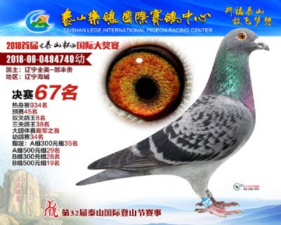 泰山乐鸽决赛67名