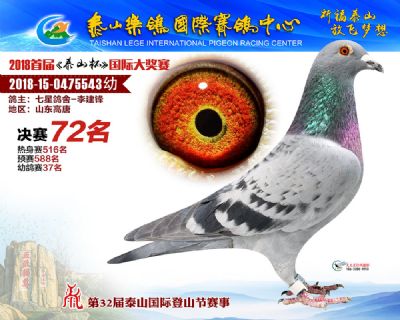 泰山乐鸽决赛72名