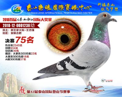 泰山乐鸽决赛75名