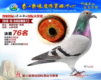 泰山乐鸽决赛76名