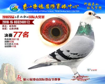 泰山乐鸽决赛77名