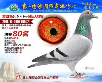 泰山乐鸽决赛80名