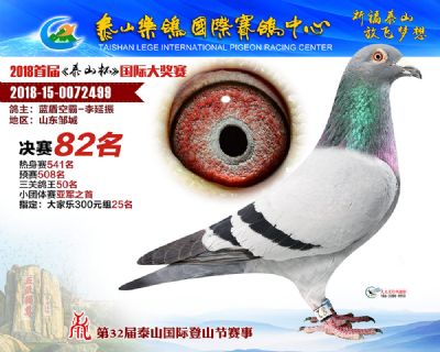 泰山乐鸽决赛82名
