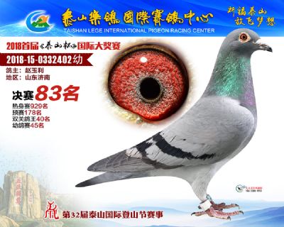 泰山乐鸽决赛83名