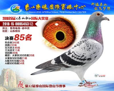 泰山乐鸽决赛85名