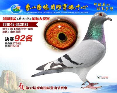 泰山乐鸽决赛92名