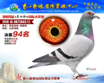 泰山乐鸽决赛94名