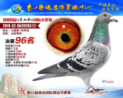 泰山乐鸽决赛96名