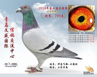 青岛文盛决赛700名