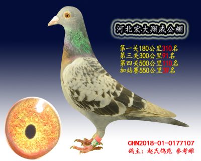 加站赛39名
