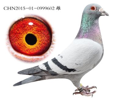 2.蒙托邦x詹妮.0999602
