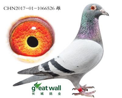 4.幻想福雷迪直子.1066526