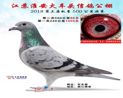 淮安火车头决赛86名