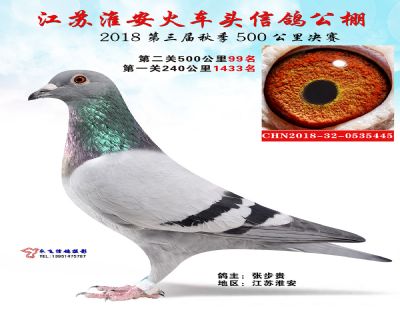 淮安火车头决赛99名