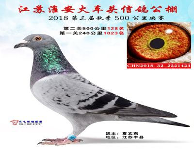 淮安火车头决赛128名
