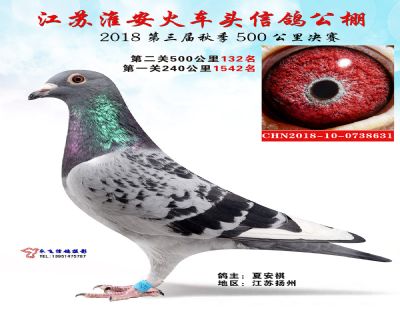 淮安火车头决赛132名