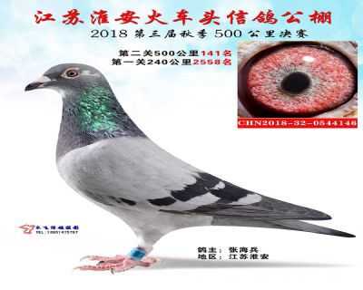 淮安火车头决赛141名