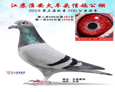 淮安火车头决赛161名