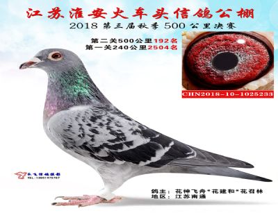 淮安火车头决赛192名