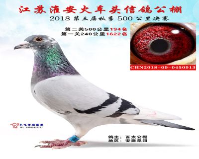 淮安火车头决赛194名