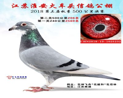 淮安火车头决赛206名