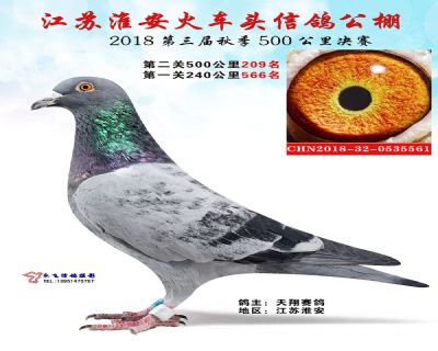 淮安火车头决赛209名