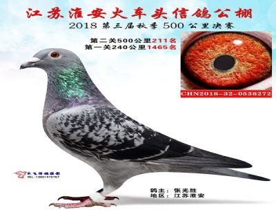 淮安火车头决赛211名