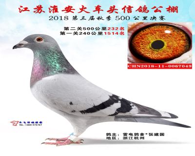 淮安火车头决赛232名