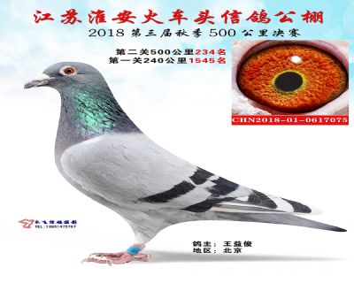 淮安火车头决赛234名