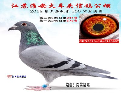 淮安火车头决赛241名