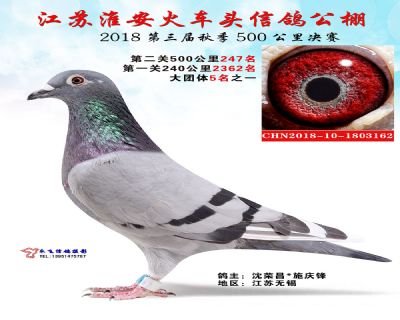 淮安火车头决赛247名