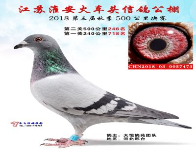 淮安火车头决赛246名