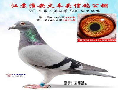 淮安火车头决赛248名