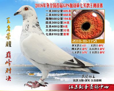 江苏翔圣赛鸽中心-中国信鸽信息网各地公棚