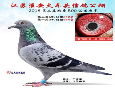 淮安火车头决赛212名
