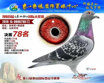 泰山乐鸽决赛78名