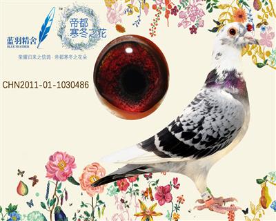 香提利486