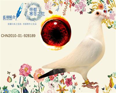 吐白189