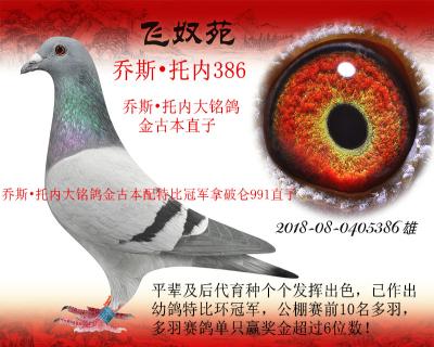 乔斯托内386*乔斯托内金古本配特比冠军拿破仑991