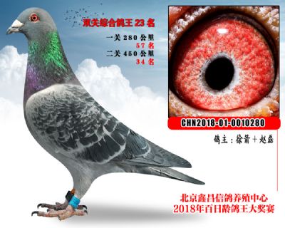 徐箭+赵磊23詹森X凡代克参考雄