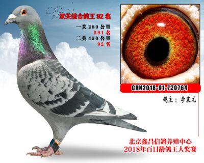 李震元92詹森X西格穆勒参考雌