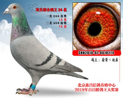 徐箭+赵磊24范德瓦尔乳酪家族参考雌