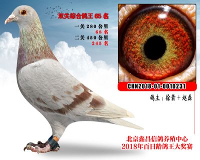 徐箭+赵磊65范德瓦尔乳酪家族参考雌
