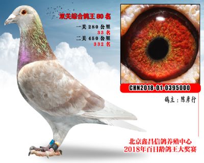 陈彦行80天外天红狐参考雌