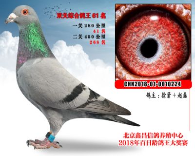 徐箭+赵磊61范德瓦尔乳酪家族参考雄