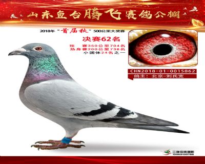 鱼台腾飞62名