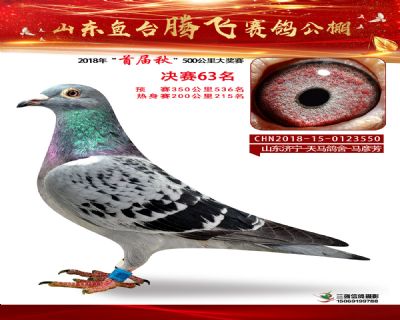 鱼台腾飞63名